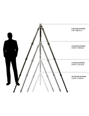 CDX Tripod - Karbon